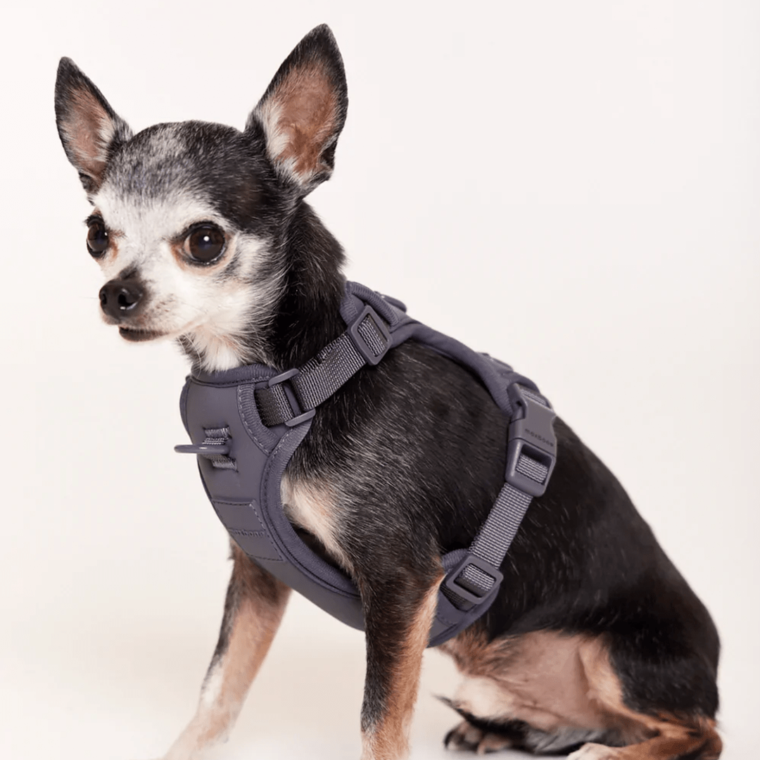 DOUBLE PANEL HARNESS CHARCOAL - PRECIOUS PET
