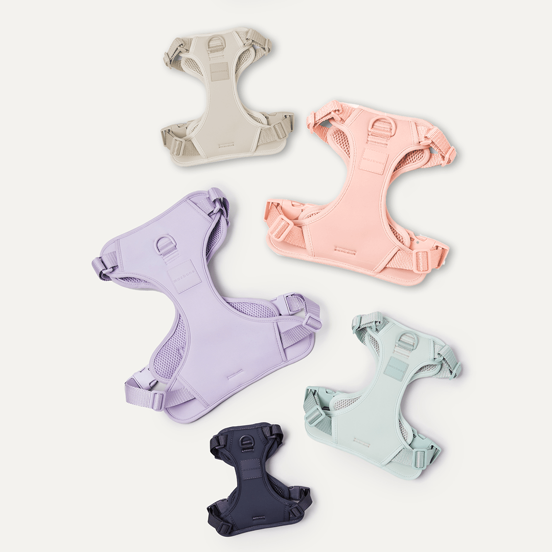 DOUBLE PANEL HARNESS PEACH - PRECIOUS PET