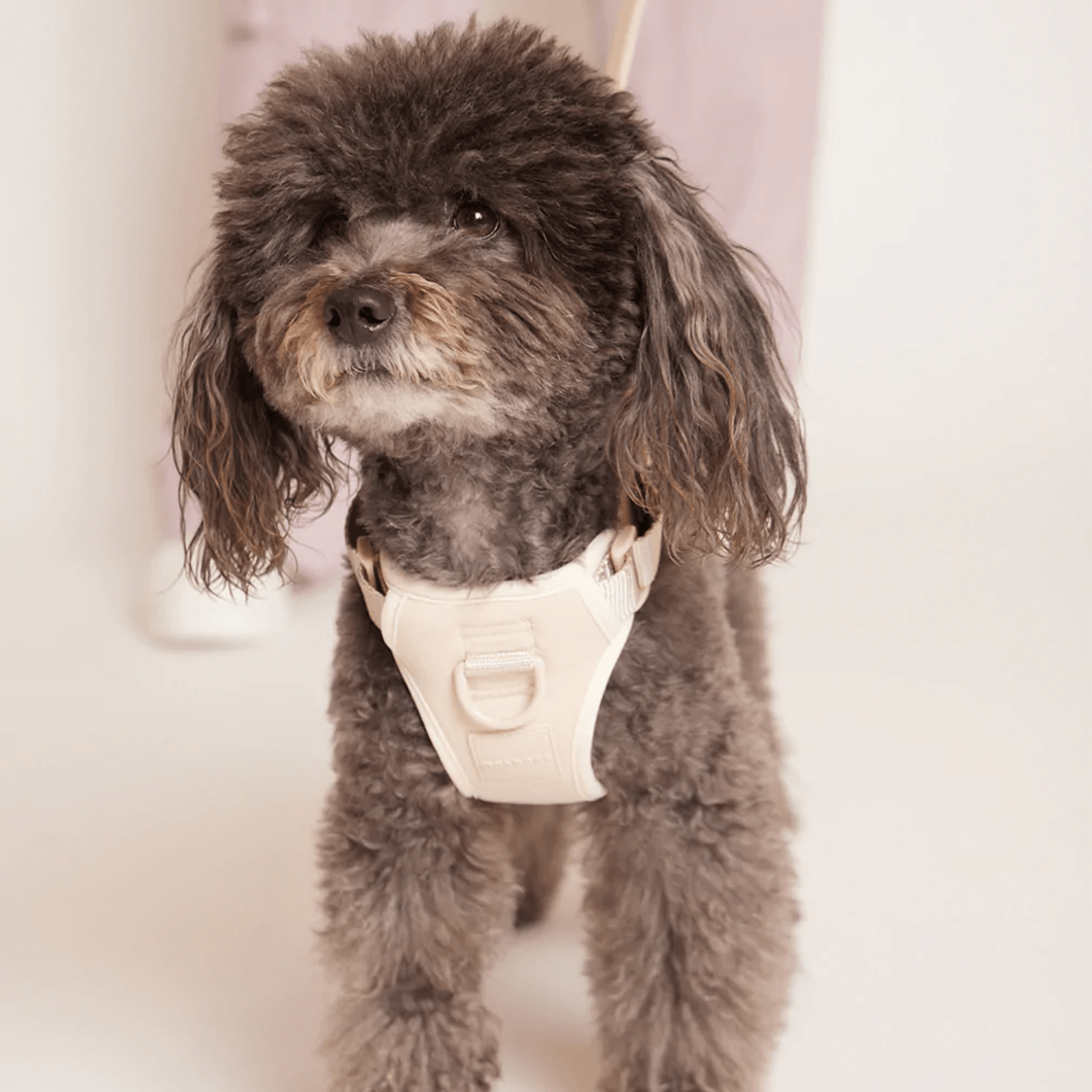 DOUBLE PANEL HARNESS SAND - PRECIOUS PET
