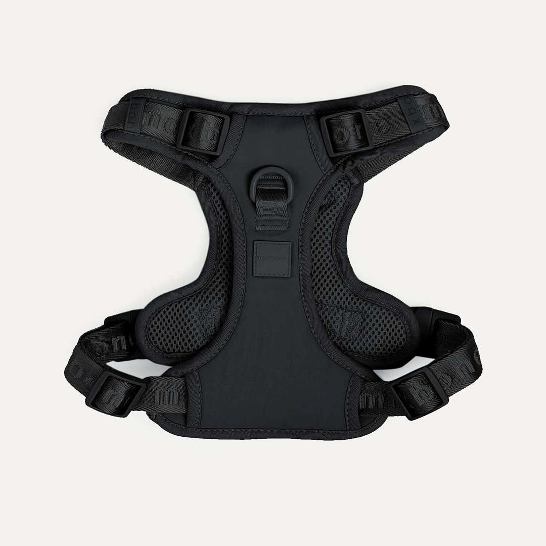 EASY FIT HARNESS BLACK - PRECIOUS PET