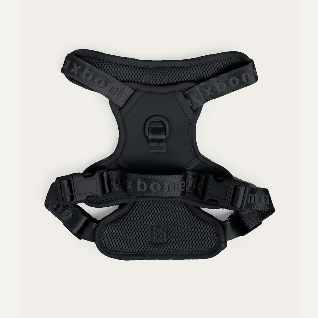 EASY FIT HARNESS BLACK - PRECIOUS PET