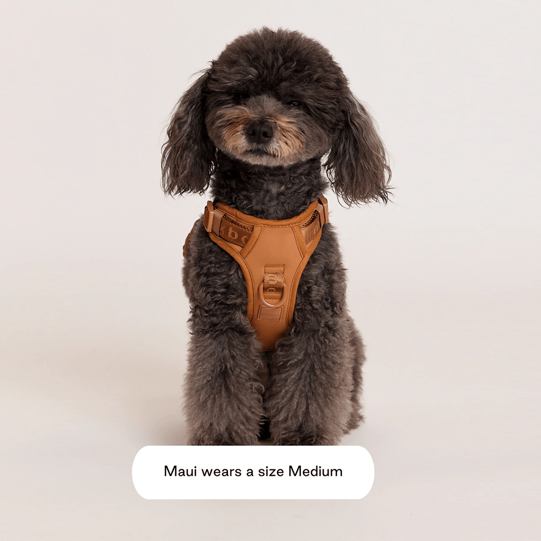 EASY FIT HARNESS CAMEL - PRECIOUS PET