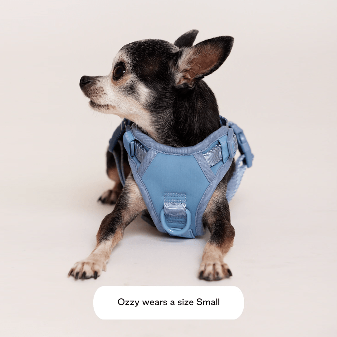EASY FIT HARNESS LIGHT BLUE - PRECIOUS PET