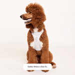 EASY FIT HARNESS LIGHT GREY - PRECIOUS PET
