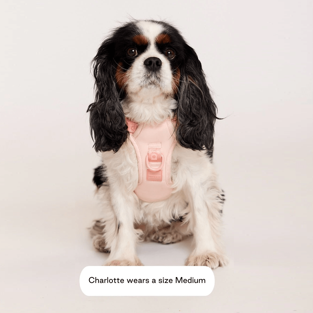 EASY FIT HARNESS PEACH - PRECIOUS PET