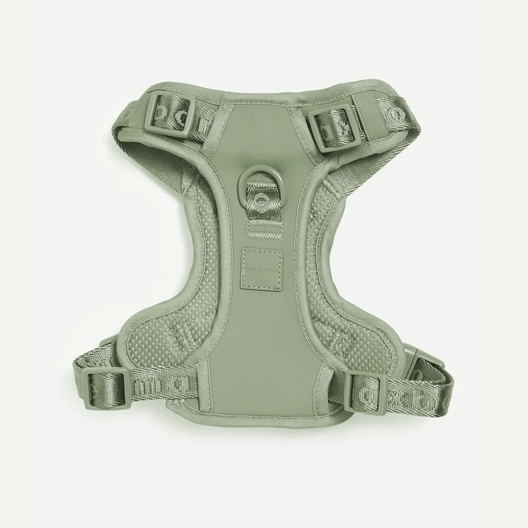 EASY FIT HARNESS SAGE - PRECIOUS PET