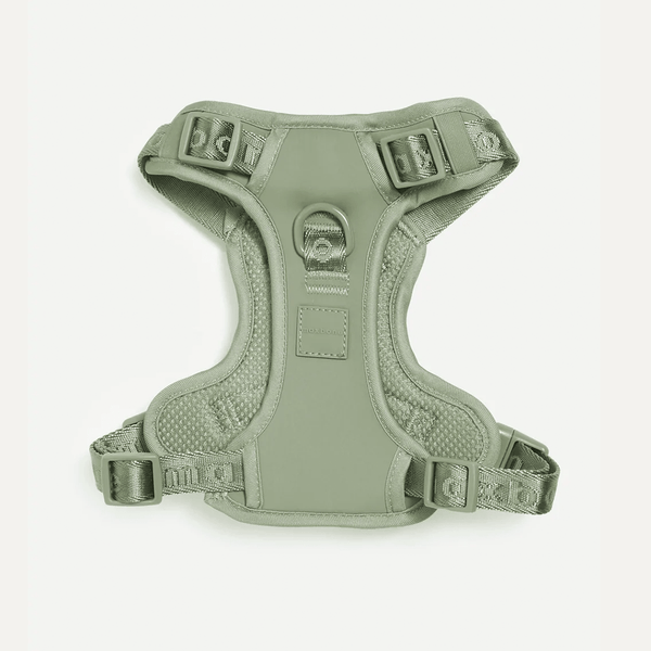 EASY FIT HARNESS SAGE - PRECIOUS PET