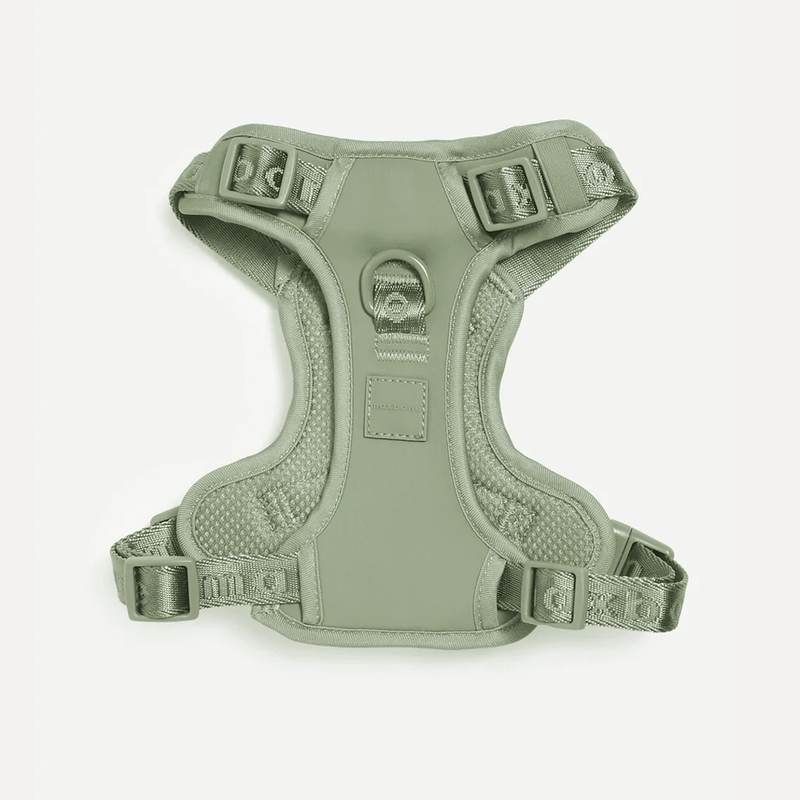 EASY FIT HARNESS SAGE - PRECIOUS PET