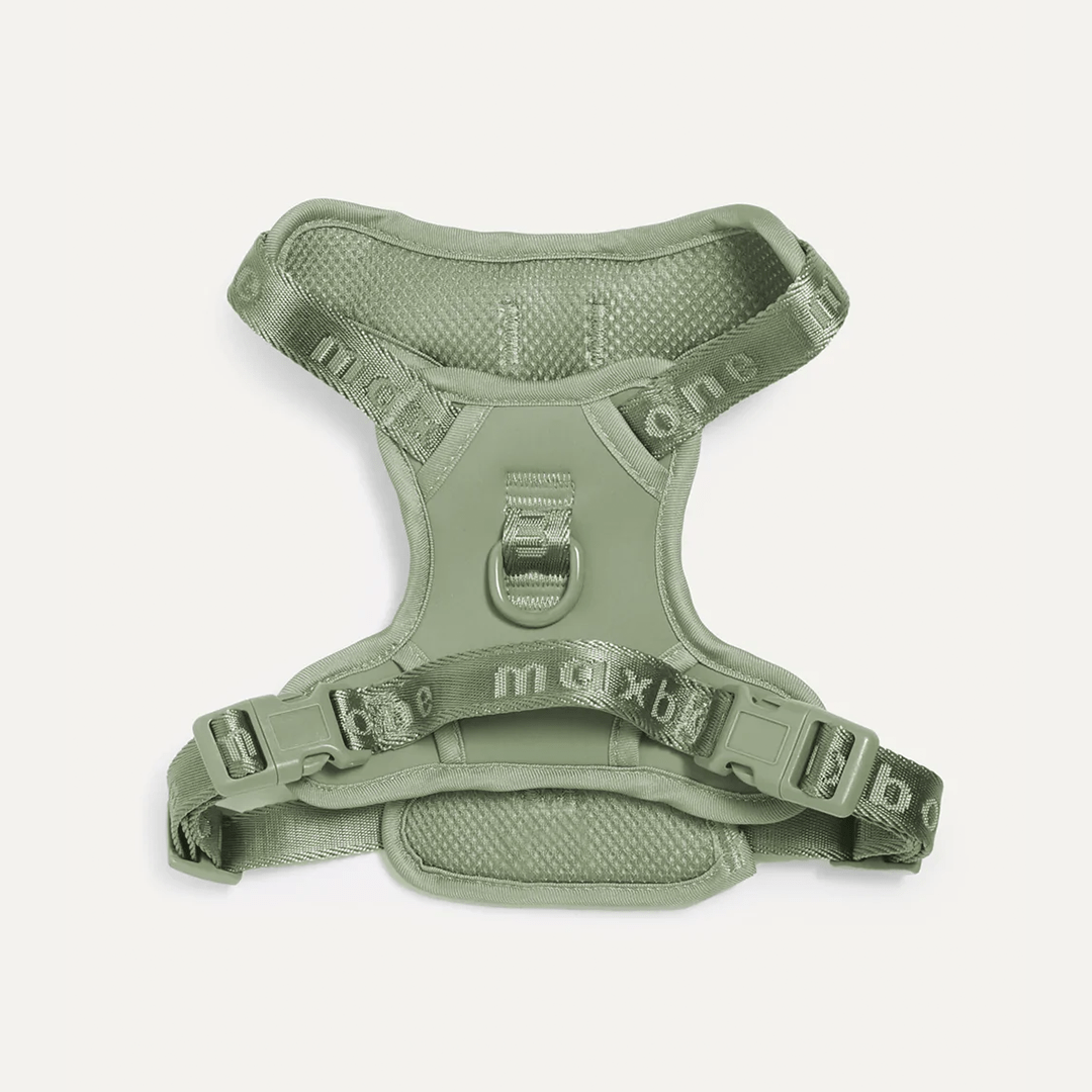 EASY FIT HARNESS SAGE - PRECIOUS PET