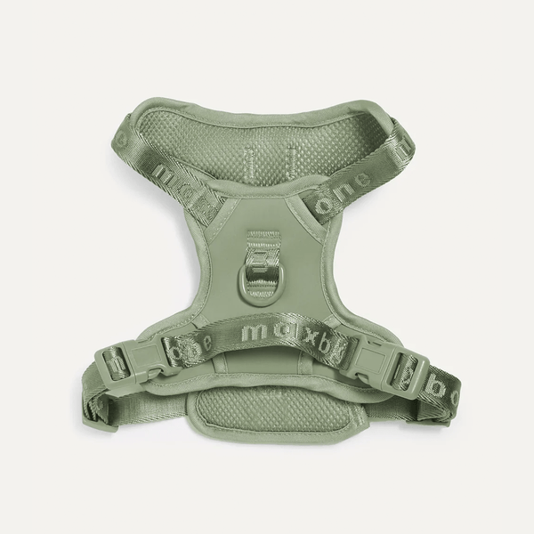 EASY FIT HARNESS SAGE - PRECIOUS PET