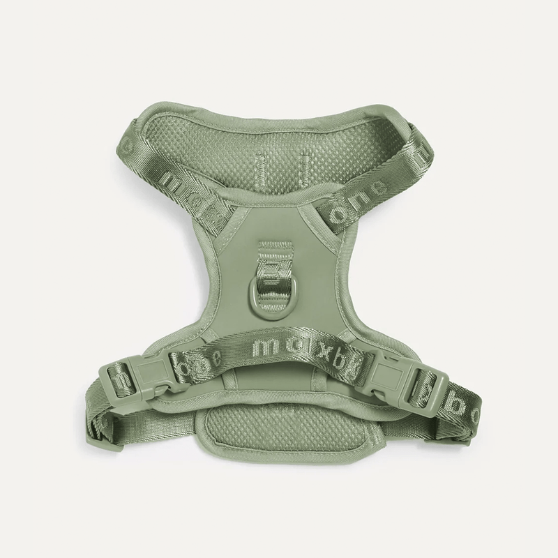 EASY FIT HARNESS SAGE - PRECIOUS PET