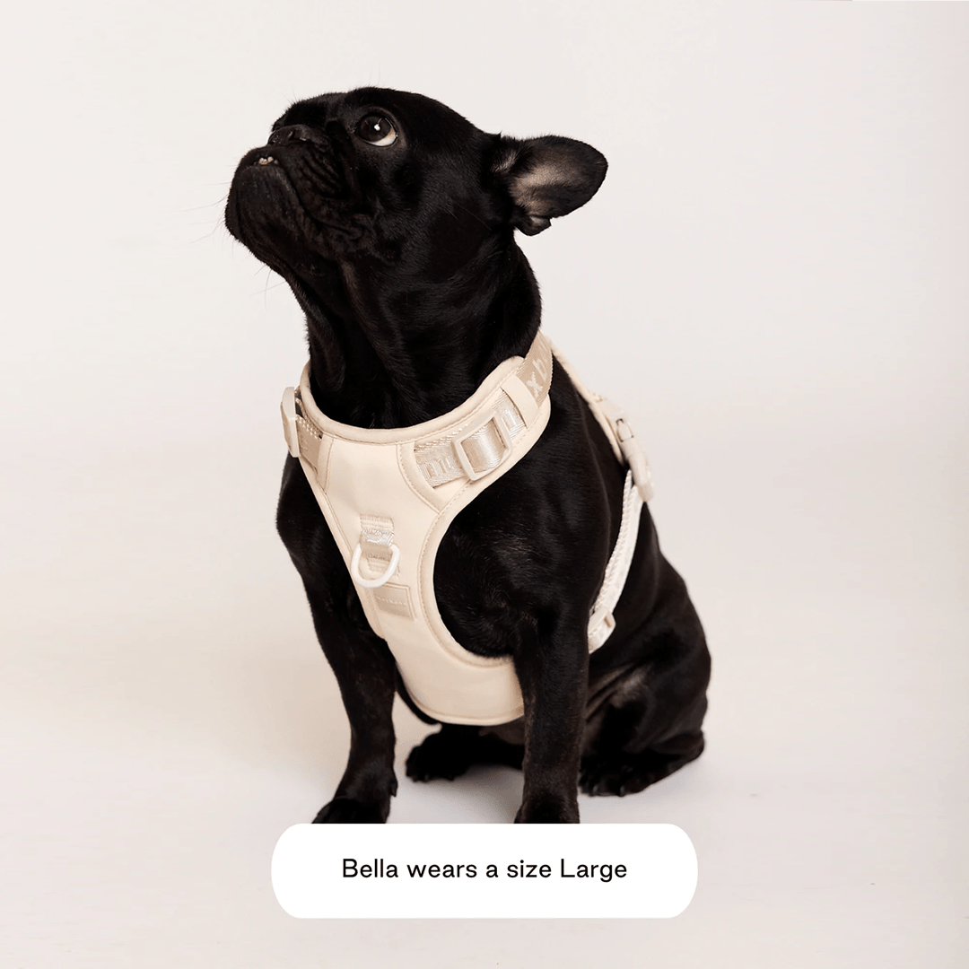 EASY FIT HARNESS SAND - PRECIOUS PET