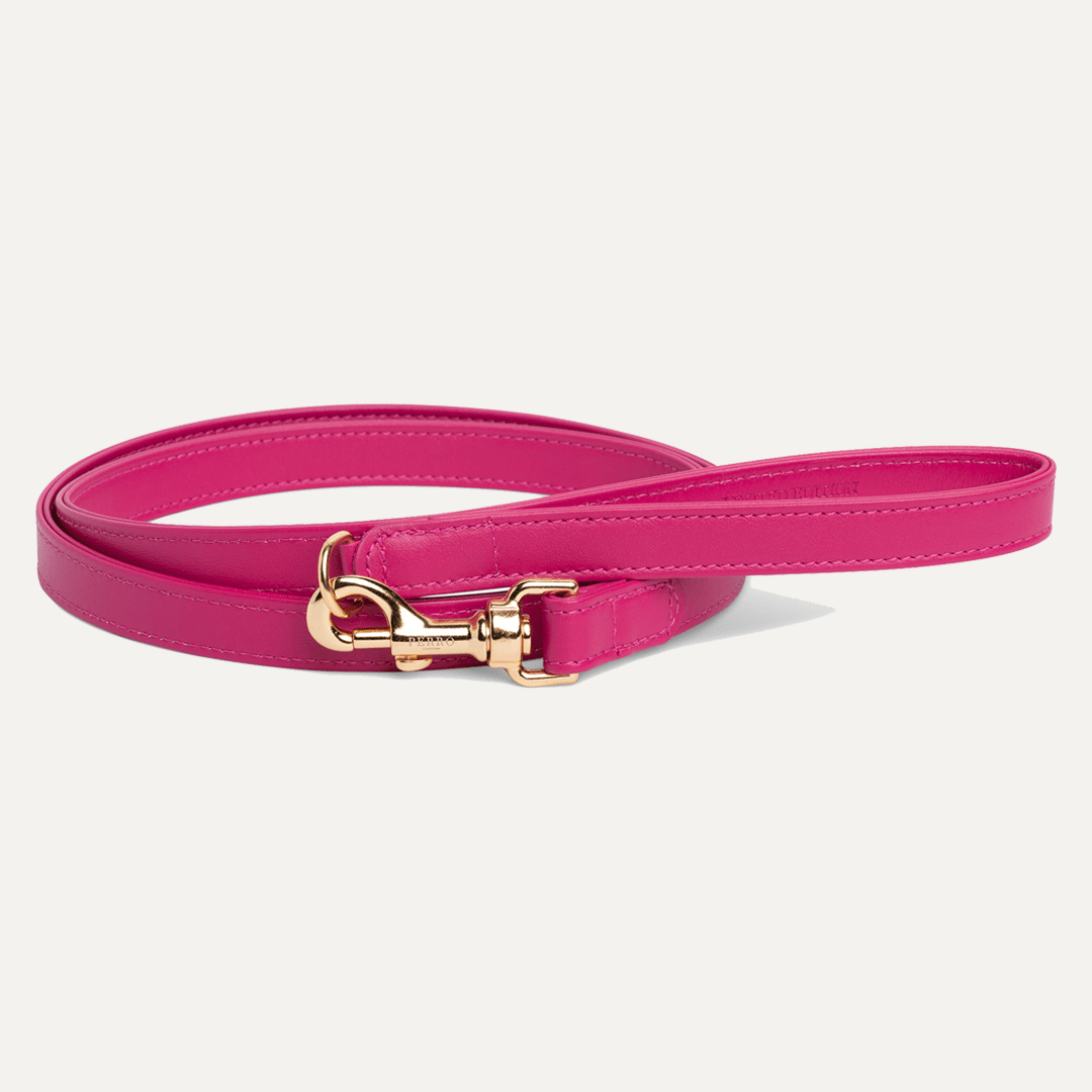 FUCHSIA SET LIMITED EDITION - PRECIOUS PET