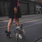 FUCHSIA SET LIMITED EDITION - PRECIOUS PET