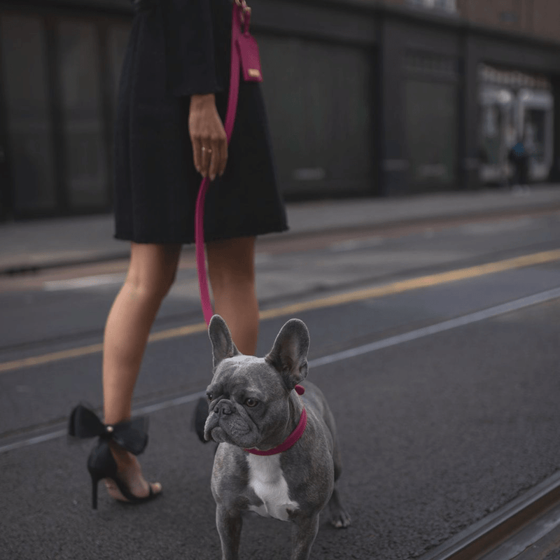 FUCHSIA SET LIMITED EDITION - PRECIOUS PET