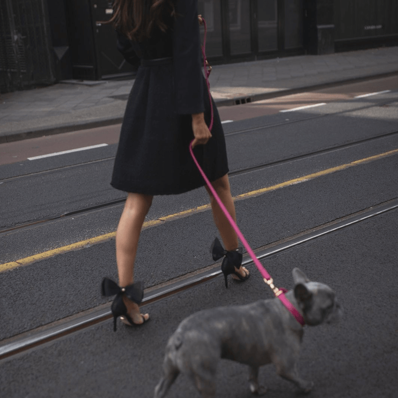 FUCHSIA SET LIMITED EDITION - PRECIOUS PET