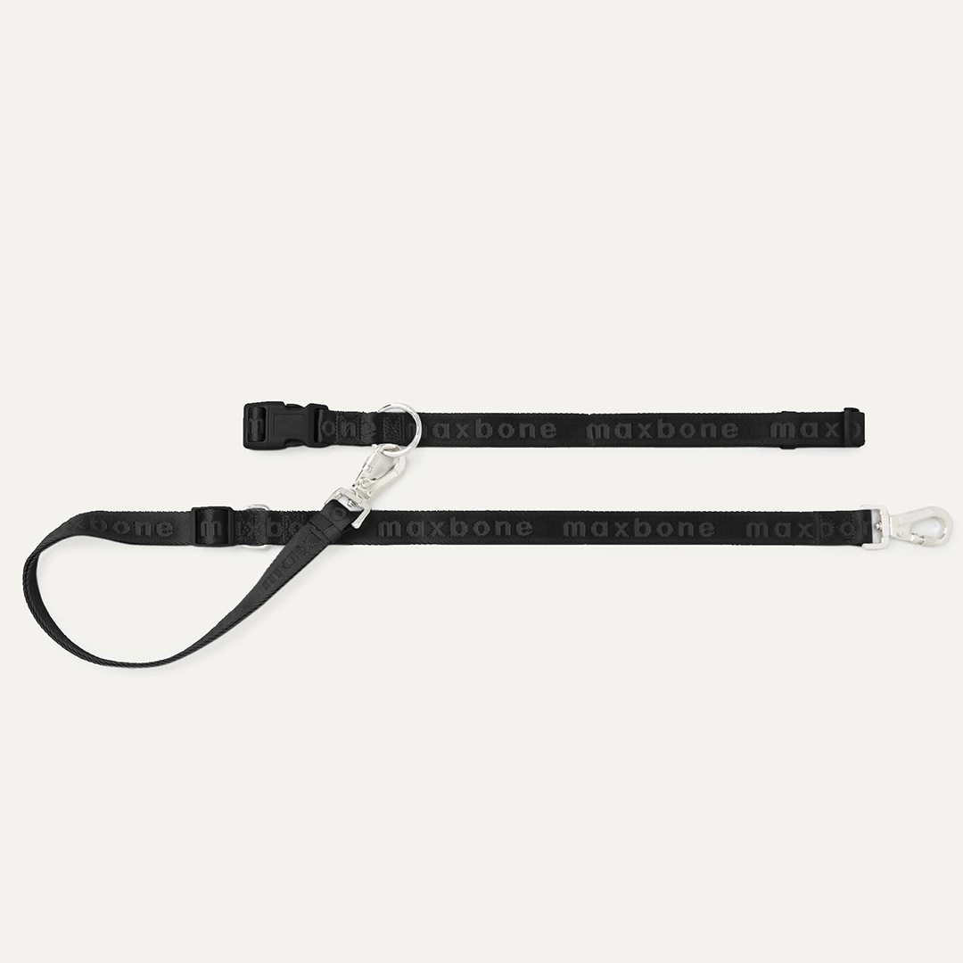 GO! HANDSFREE LEASH BLACK - PRECIOUS PET