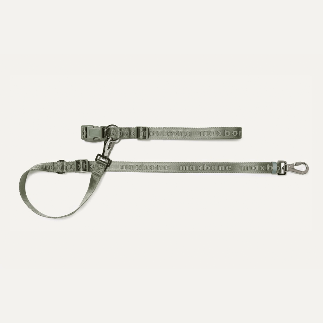 GO! HANDSFREE LEASH SAGE - PRECIOUS PET