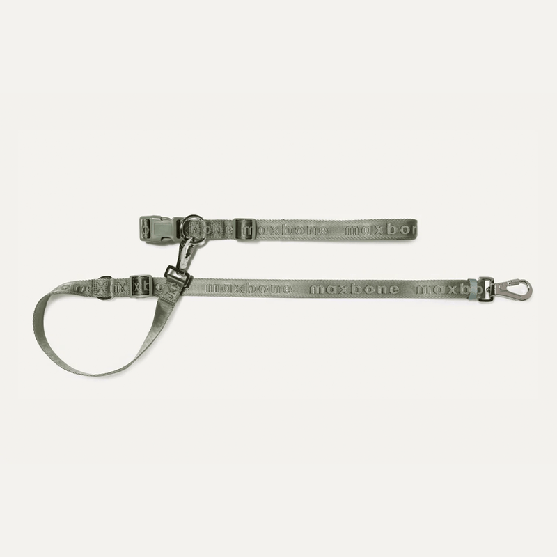 GO! HANDSFREE LEASH SAGE - PRECIOUS PET