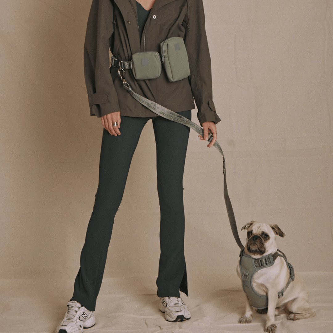 GO! HANDSFREE LEASH SAGE - PRECIOUS PET