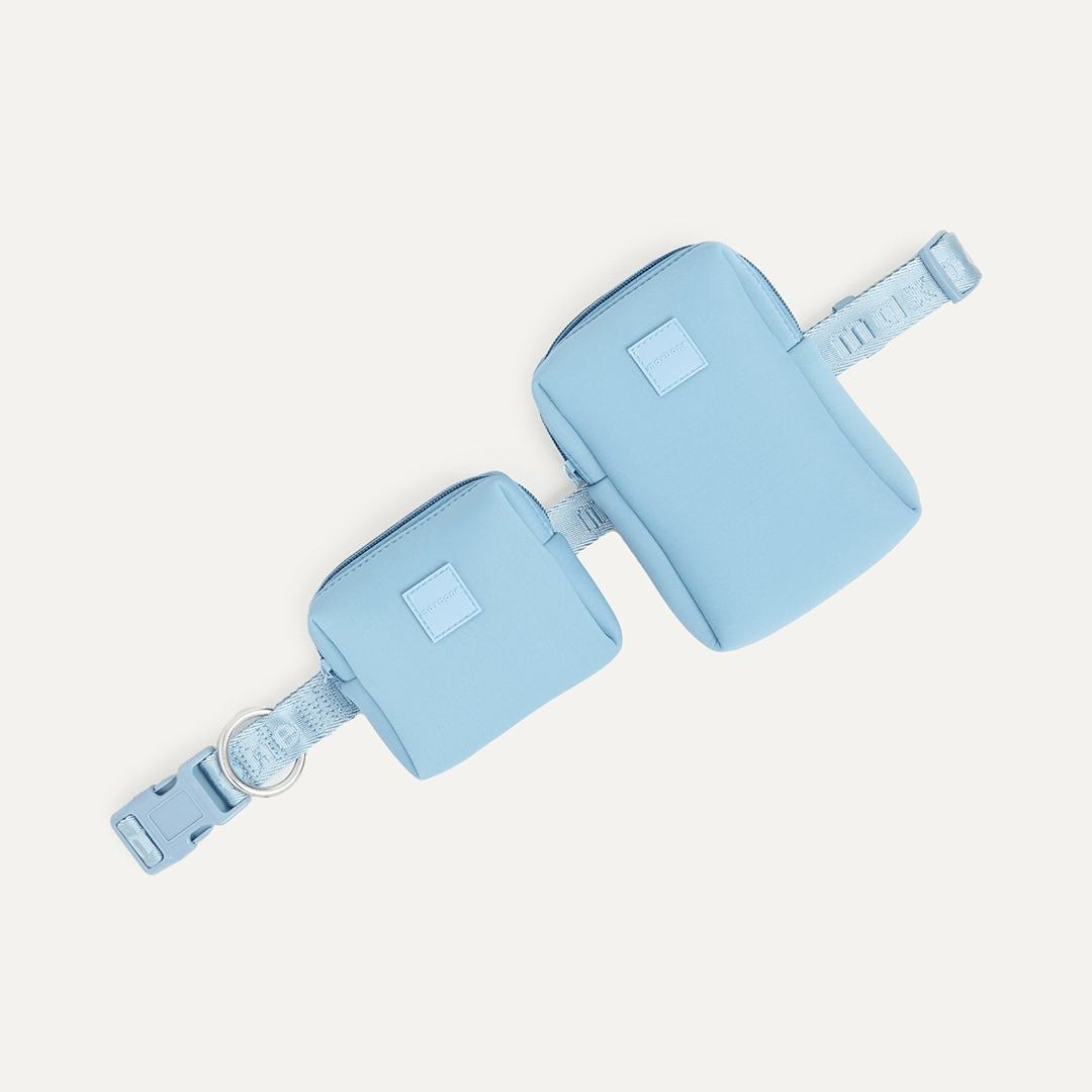 GO! WITH EASE POUCH LIGHT BLUE - PRECIOUS PET