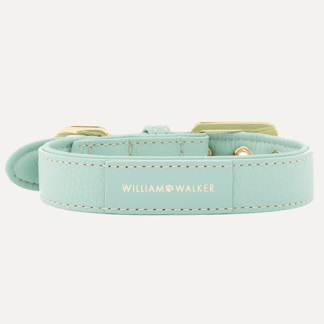 HALSBÅND MINT - PRECIOUS PET