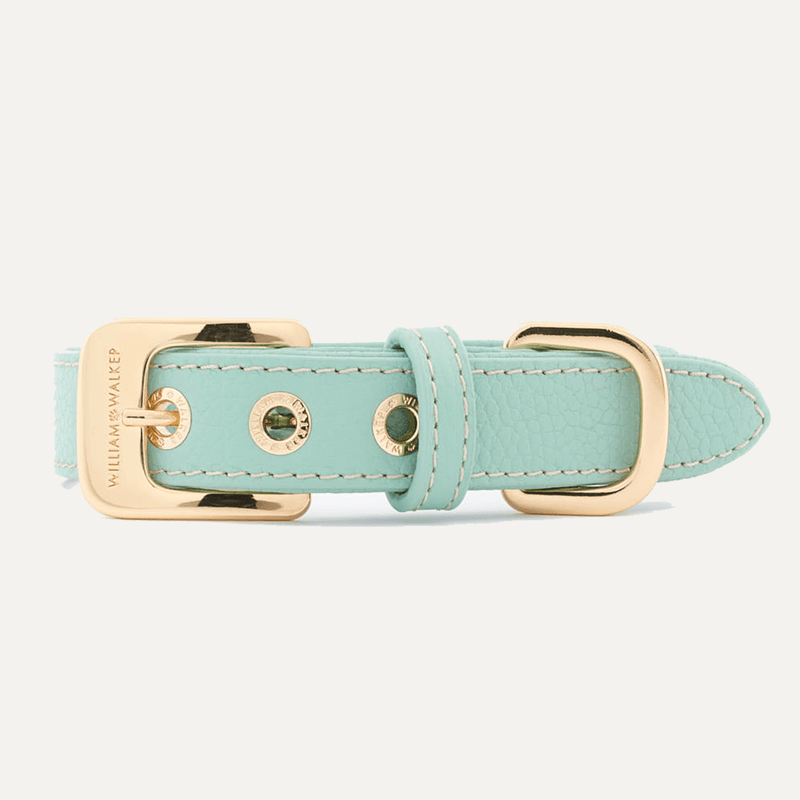 HALSBÅND MINT - PRECIOUS PET