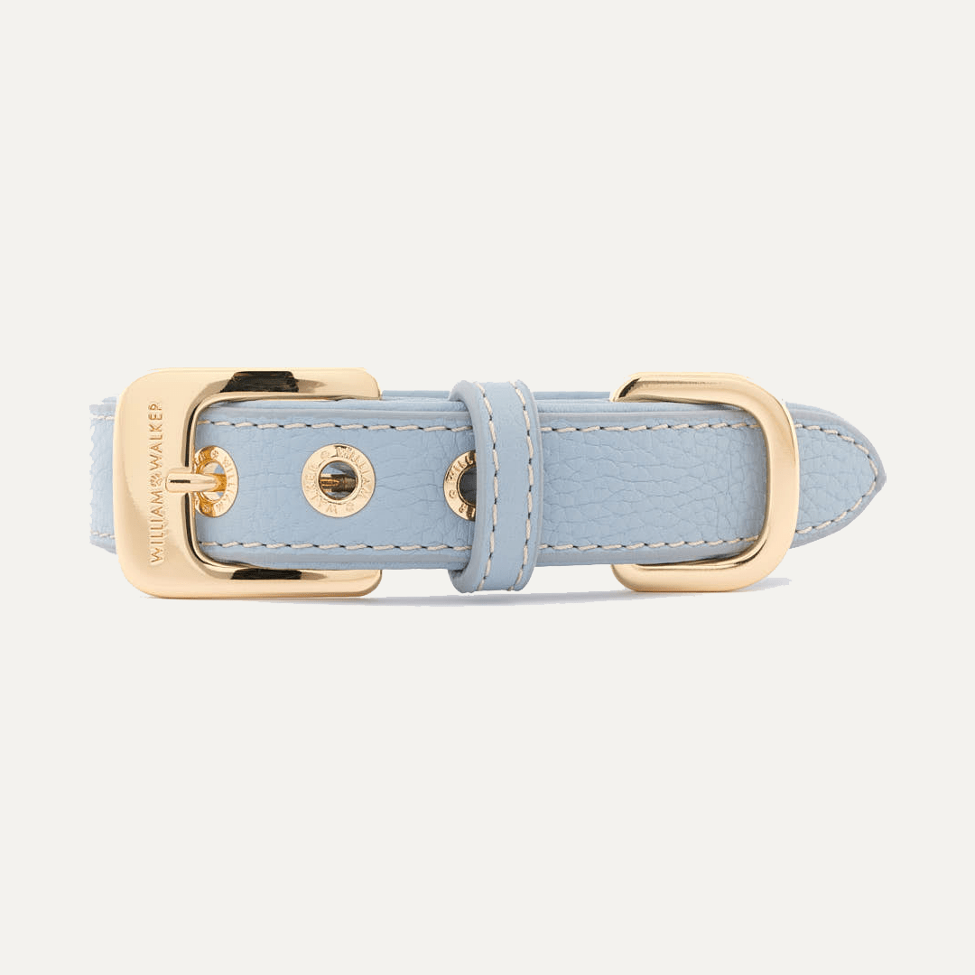 HALSBÅND SKY - PRECIOUS PET