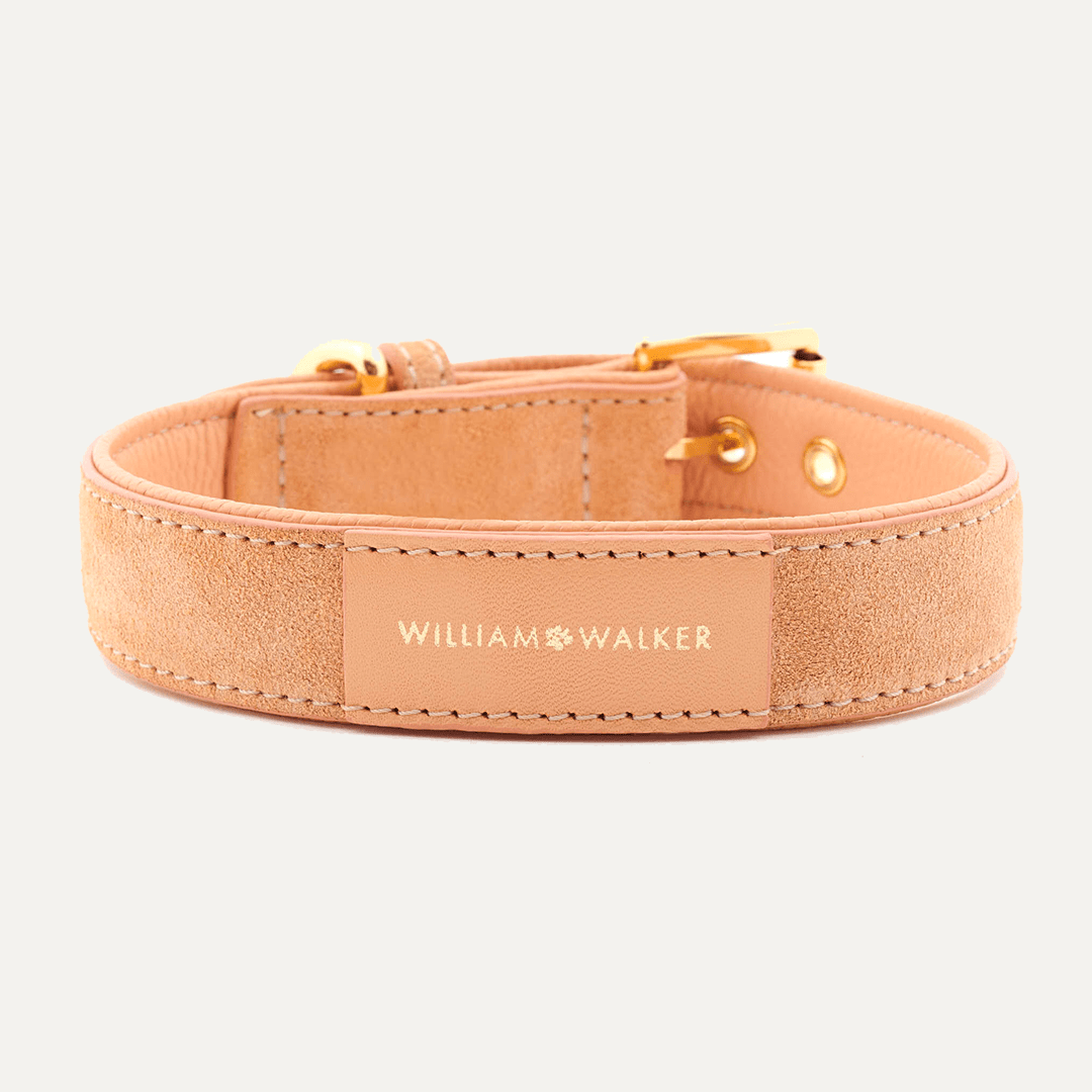 HALSBÅND SUEDE CORAL - PRECIOUS PET