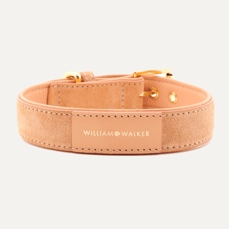HALSBÅND SUEDE CORAL - PRECIOUS PET