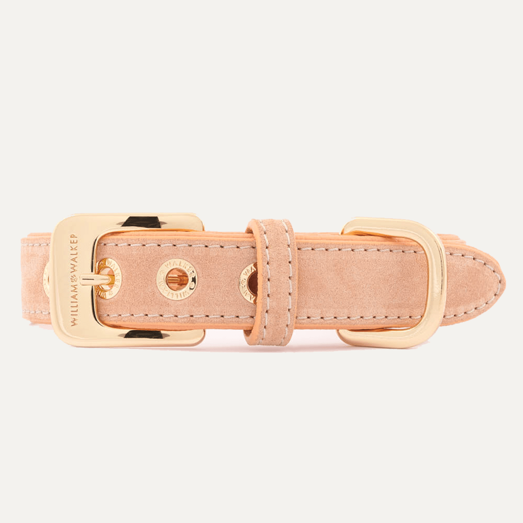 HALSBÅND SUEDE CORAL - PRECIOUS PET