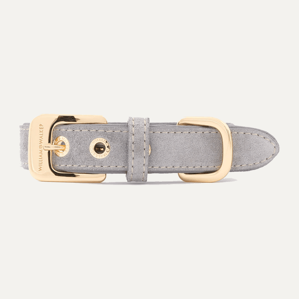 HALSBÅND SUEDE SEA SALT - PRECIOUS PET