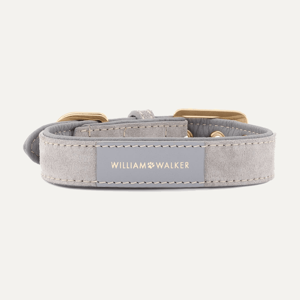 HALSBÅND SUEDE SEA SALT - PRECIOUS PET