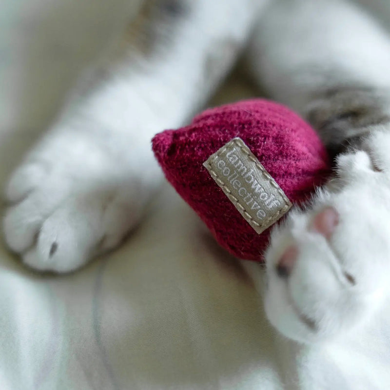 KITTY RADISH BEET - PRECIOUS PET