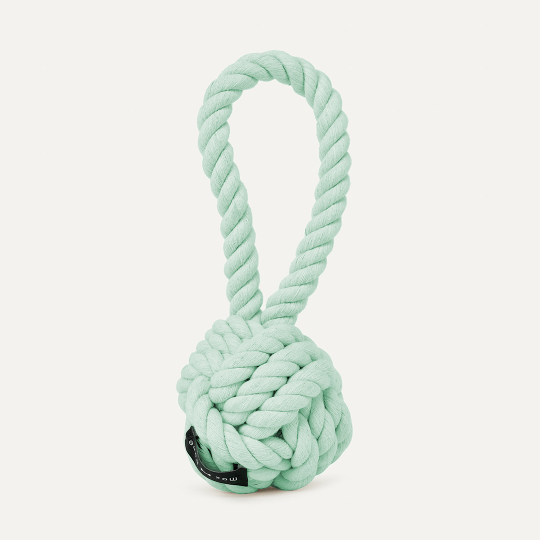 LARGE TWISTED ROPE TOY MINT - PRECIOUS PET