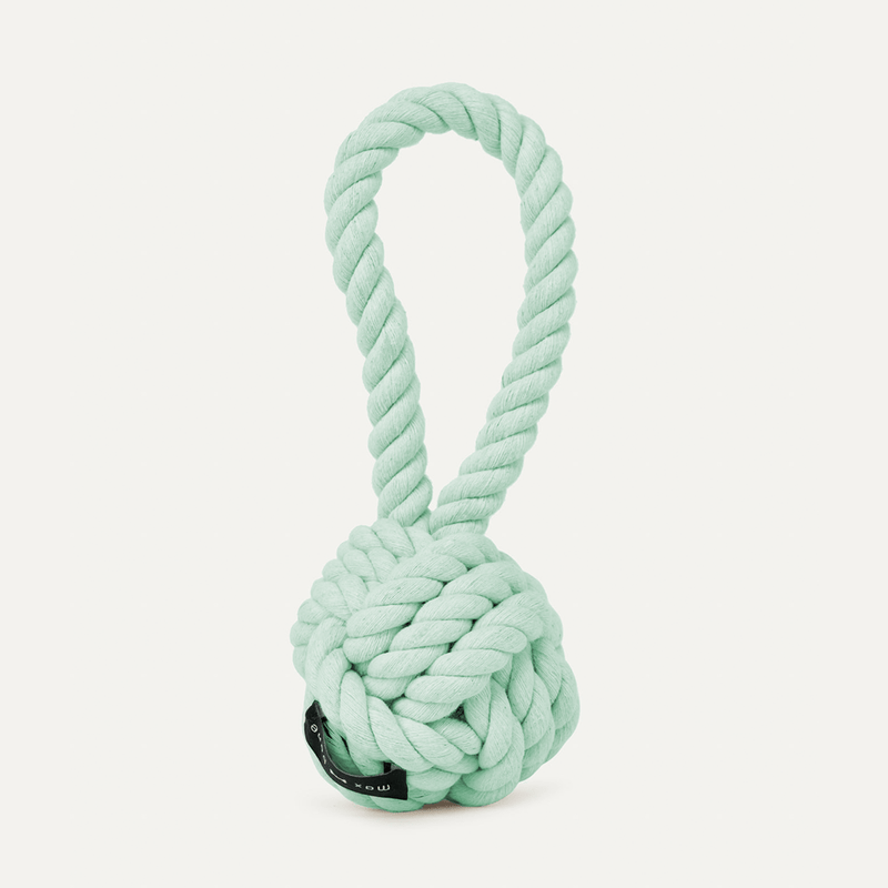 LARGE TWISTED ROPE TOY MINT - PRECIOUS PET