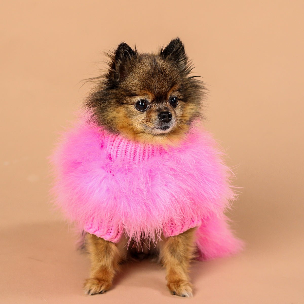 MAXBONE X CHRISTIAN COWAN GENSER HOT PINK - PRECIOUS PET