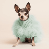 MAXBONE X CHRISTIAN COWAN GENSER MINT - PRECIOUS PET