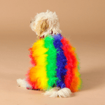 MAXBONE X CHRISTIAN COWAN GENSER RAINBOW - PRECIOUS PET