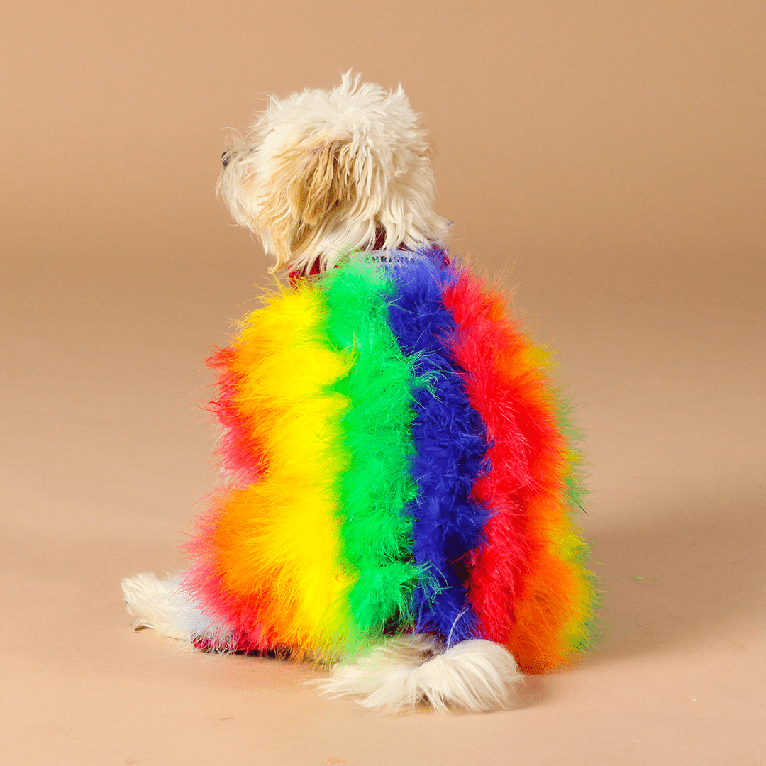 MAXBONE X CHRISTIAN COWAN GENSER RAINBOW - PRECIOUS PET