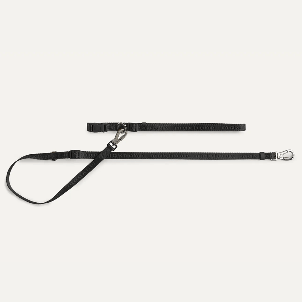 MINI GO! HANDSFREE LEASH BLACK - PRECIOUS PET