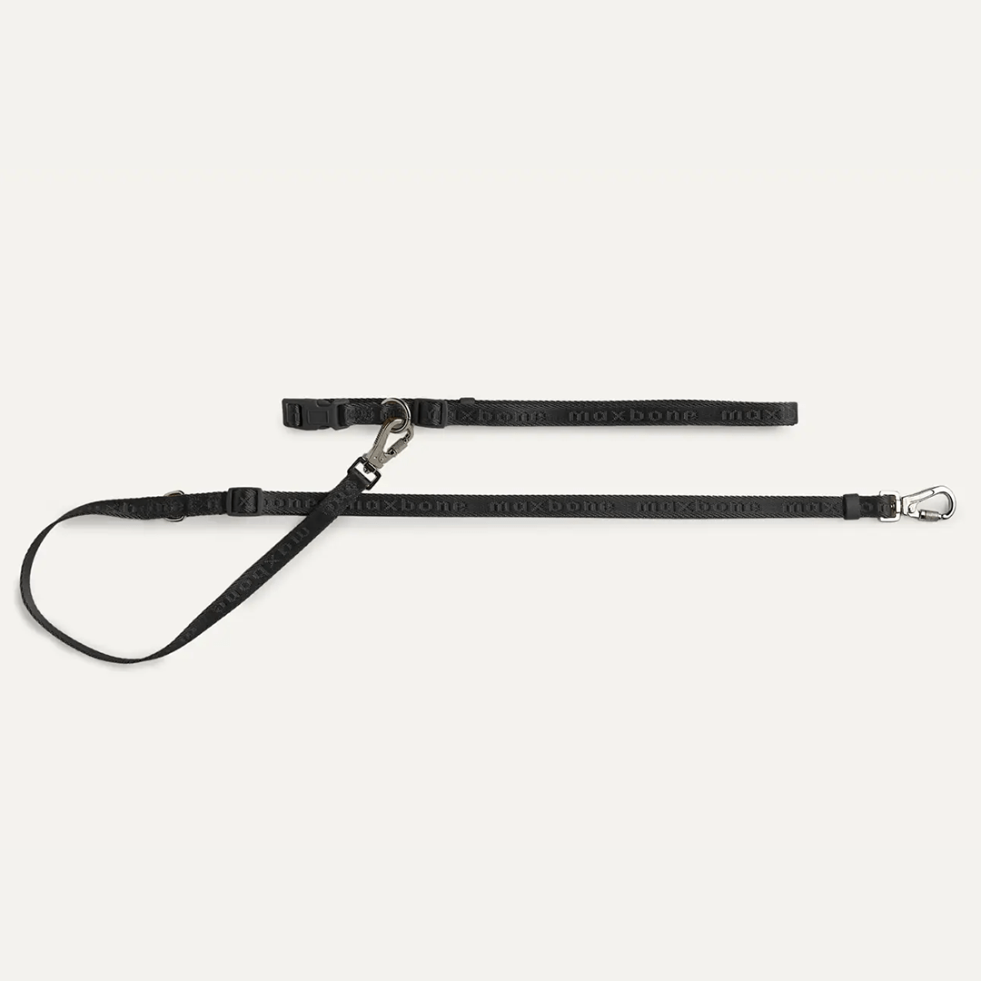 MINI GO! HANDSFREE LEASH BLACK - PRECIOUS PET