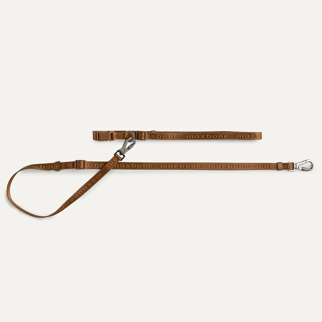 MINI GO! HANDSFREE LEASH CAMEL - PRECIOUS PET