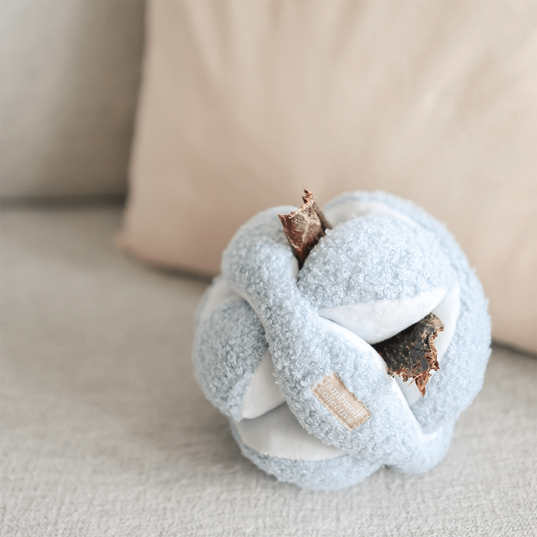 MONTI BABY BLUE - PRECIOUS PET