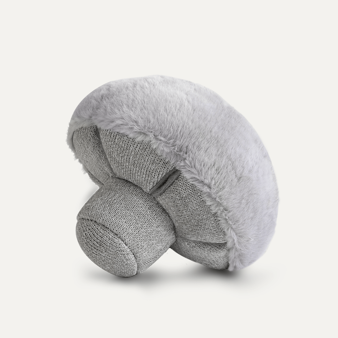 NOSEWORK MUSHROOM HAZE - PRECIOUS PET