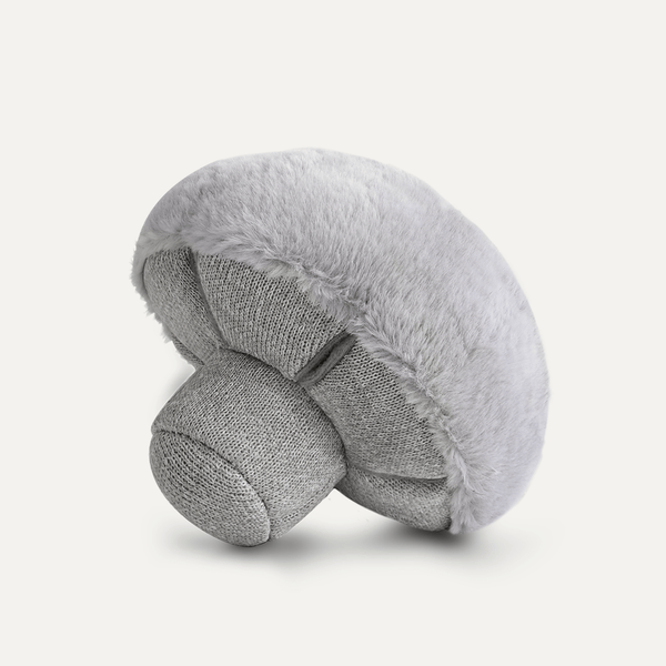 NOSEWORK MUSHROOM HAZE - PRECIOUS PET