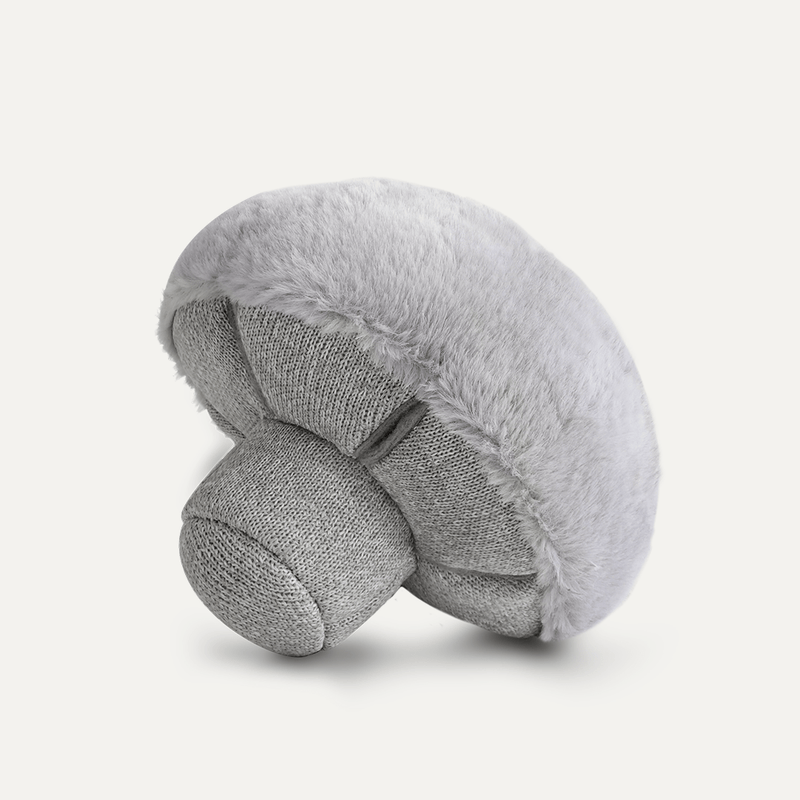 NOSEWORK MUSHROOM HAZE - PRECIOUS PET