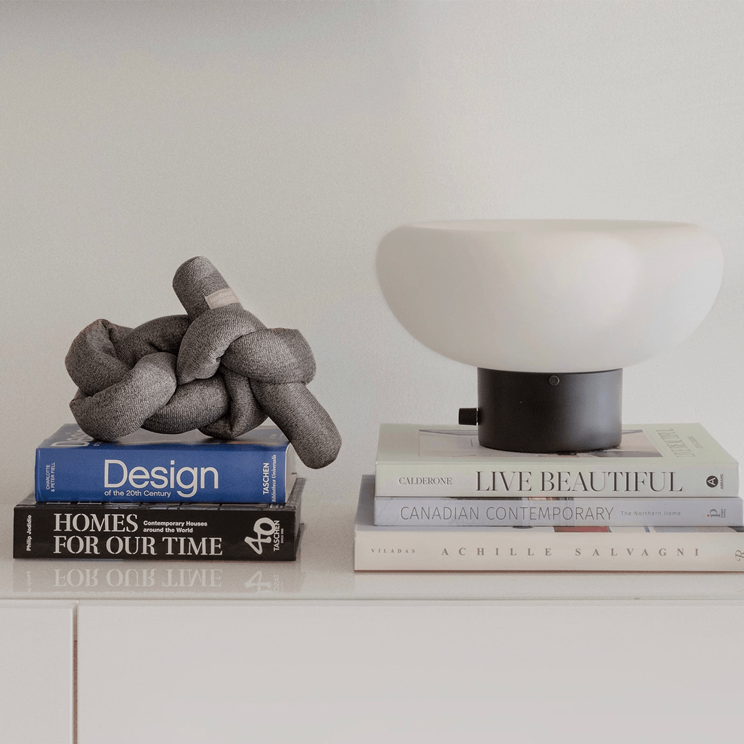 NOU CHARCOAL - PRECIOUS PET