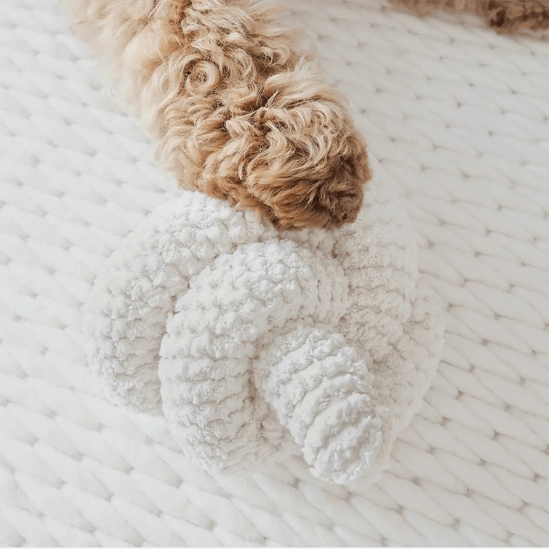 NOU CREAM - PRECIOUS PET