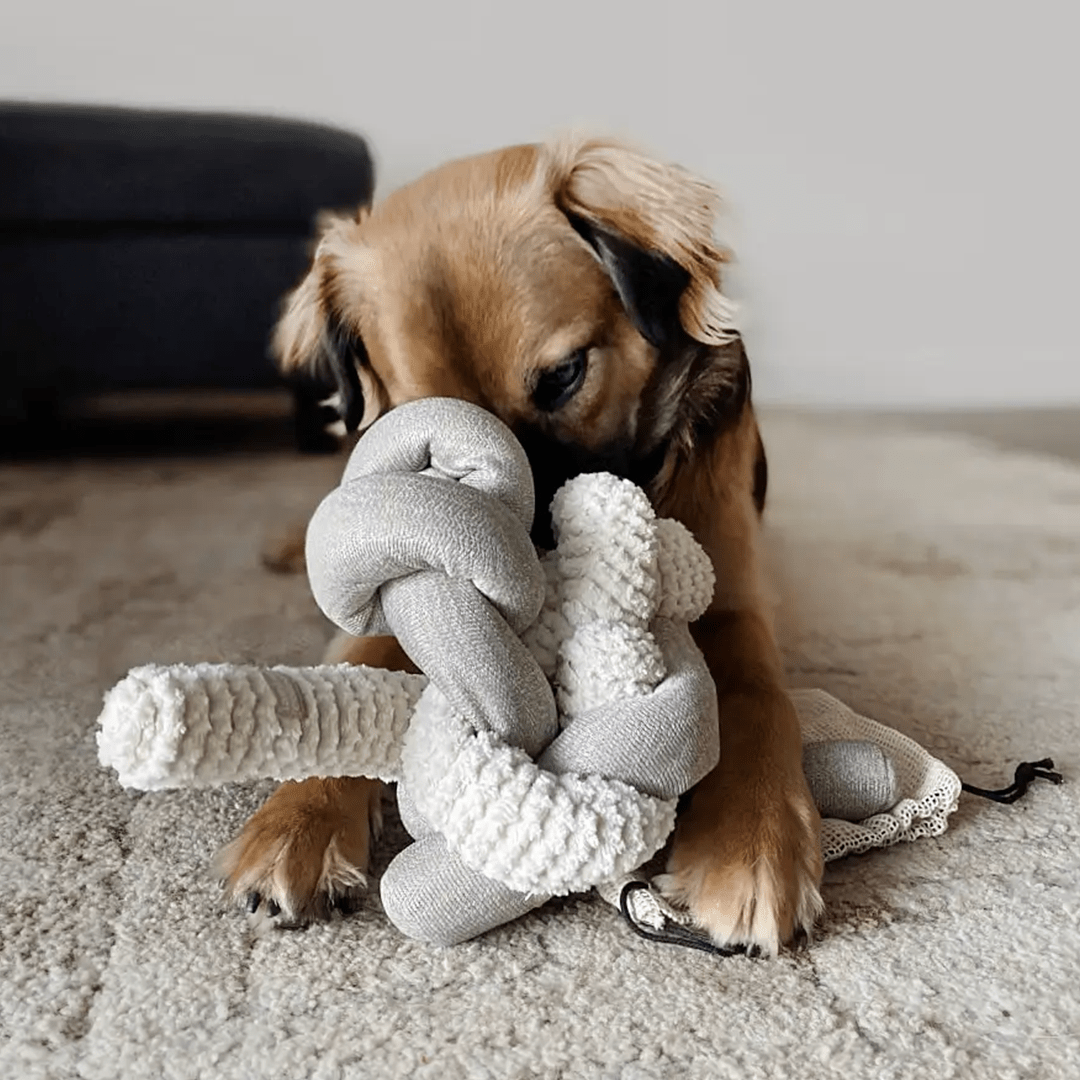 NOU CREAM - PRECIOUS PET